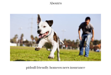 pitbull friendly homeowners insurance